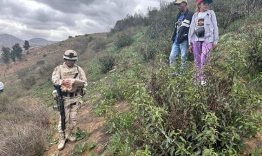 Activistas buscadores hallan restos de al menos tres cuerpos en Baja California