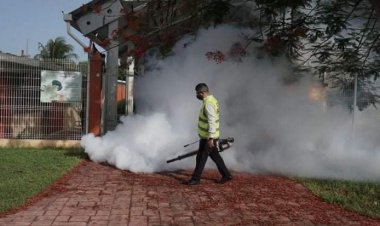 Deja el dengue en Guerrero seis muertos y mil 108 casos confirmados