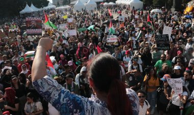 Galería: Miles levantan la voz contra ocupación de Israel contra Palestina