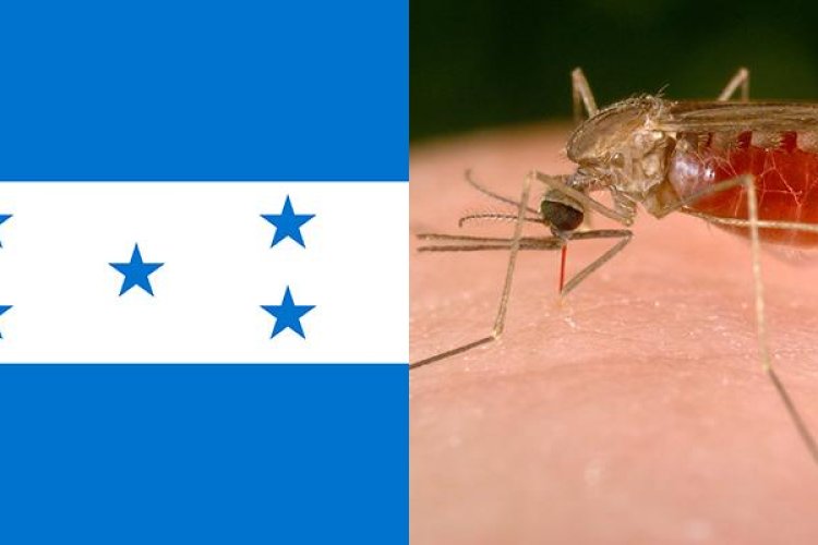 Emiten alerta sanitaria en Honduras por brote de malaria entre migrantes irregulares