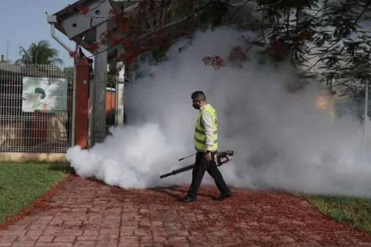 Deja el dengue en Guerrero seis muertos y mil 108 casos confirmados