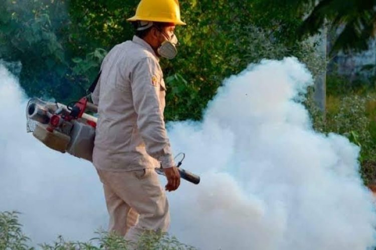 Aumentan casos de dengue en Hidalgo