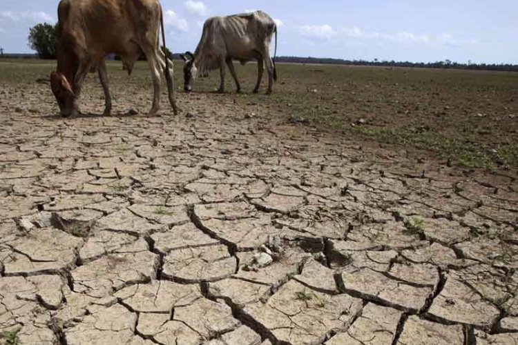 Estado de Chihuahua emite declaratoria de emergencia por sequía extrema