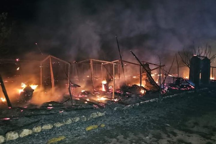 Se registró incendio en zoológico ‘Yaguar Xoo’ en Oaxaca