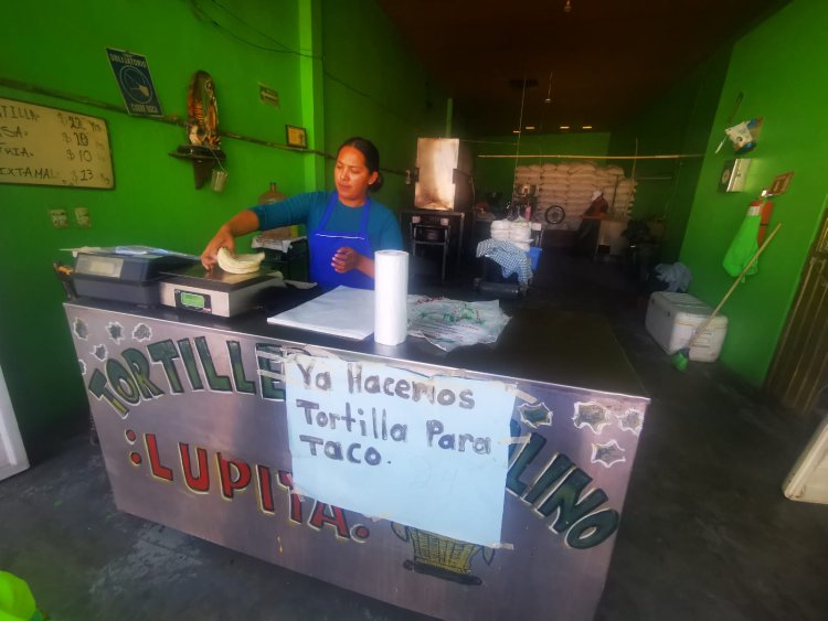 Población jalisciense prevé aumento del precio de la tortilla