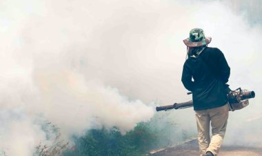 Controlan dengue en Sinaloa