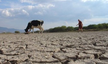 Sequía en el campo potosino, declaratoria de emergencia