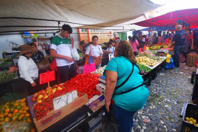 Por temporal anómalo podría registrase escasez de alimentos en Jalisco