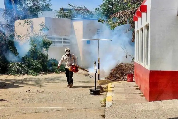 Prevén incremento de casos de dengue en Acapulco