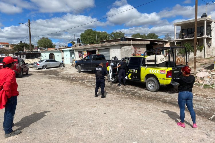 Reportaron envenenamiento masivo de perros en San Luis Potosí