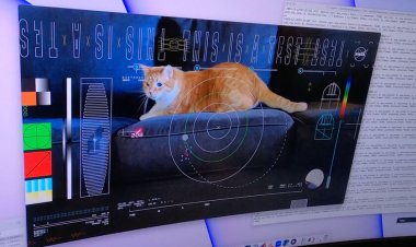 NASA emitió un vídeo de un gato en alta definición desde la nave Psyche