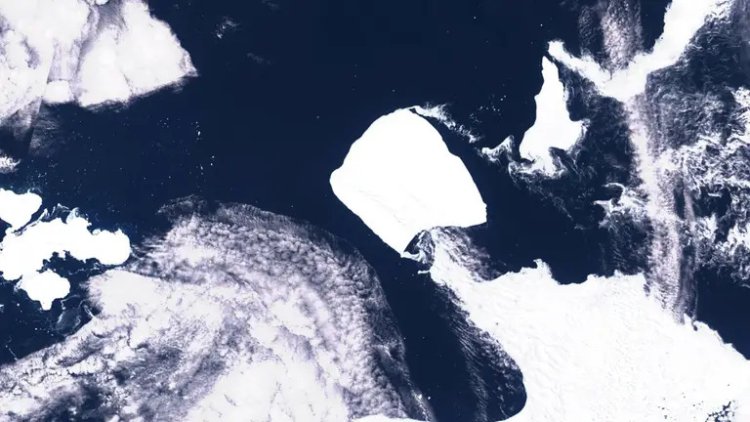 Este es el lugar donde podría impactar el iceberg más grande del mundo