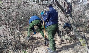 Encuentran una fosa con 10 cuerpos humanos en Luis Moya, Zacatecas