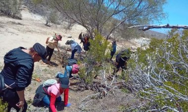 Mil 617 reportes de desaparecidos en Baja California Sur