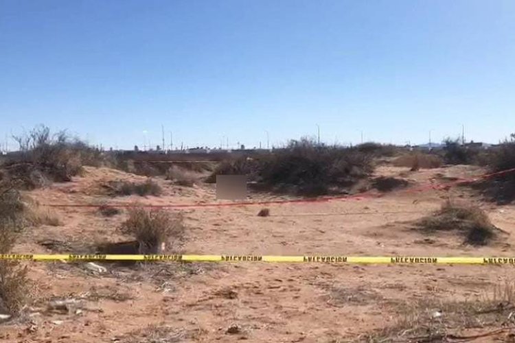 Trabajadores encuentran cadáver mientras realizaban excavaciones en Chihuahua