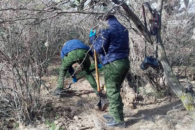 Encuentran una fosa con 10 cuerpos humanos en Luis Moya, Zacatecas