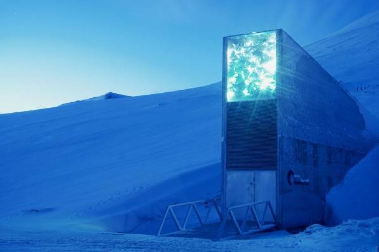 Svalbard, la bóveda del ‘fin del mundo’ que guarda millones de semillas clave para la humanidad
