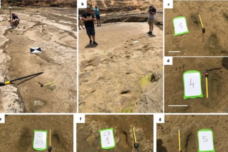 Descubren en el norte de África las huellas humanas más antiguas