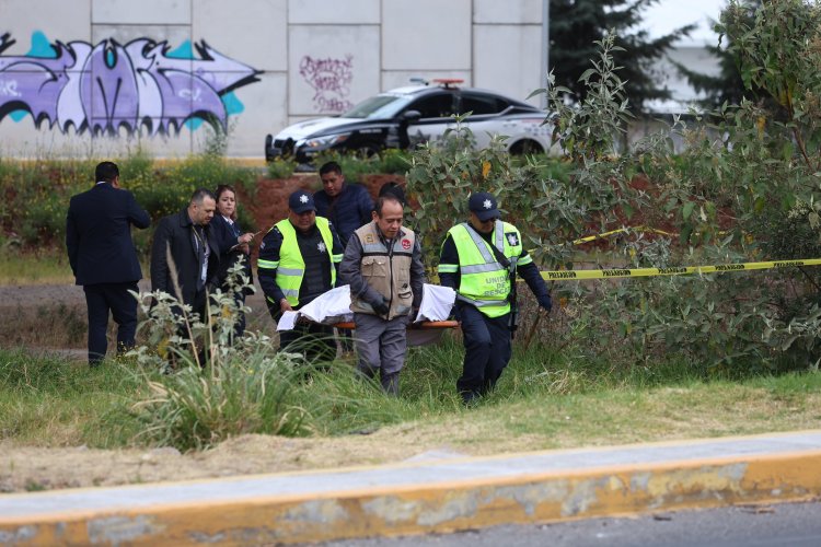 Mujer muere tras tirarse desde puente de Tren Interurbano México-Toluca