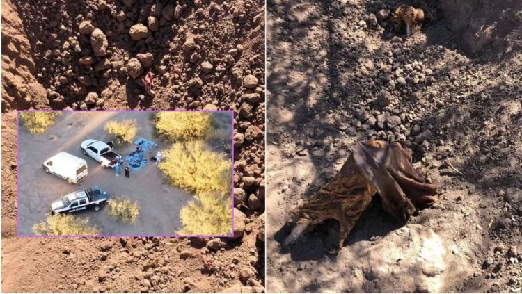 Madres buscadoras encuentran 19 fosas con presuntos restos humanos en Sonora