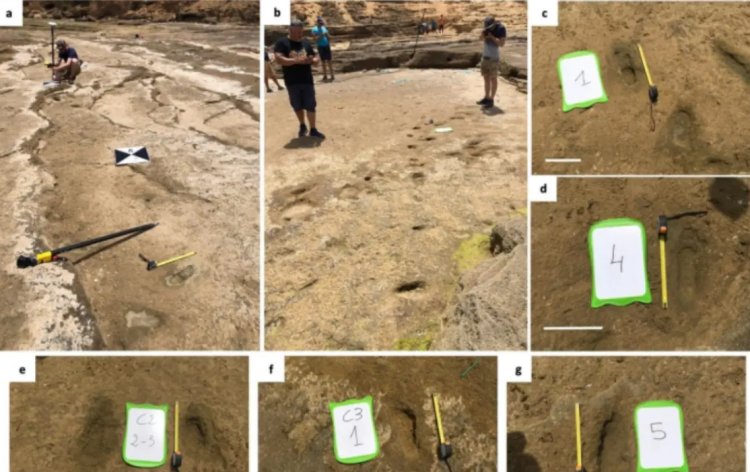 Descubren en el norte de África las huellas humanas más antiguas