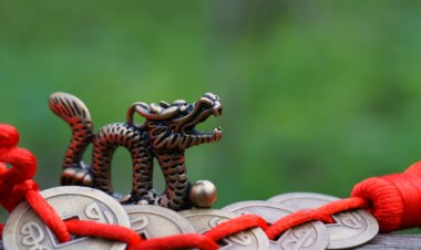 Este año nuevo chino 2024 corresponde al dragón de madera