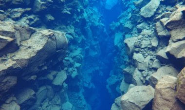 Geólogos descubrieron que la Tierra se parte al fondo del Pacífico