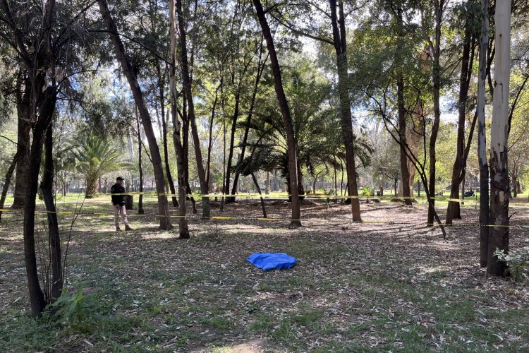 Asesino serial de perros ataca de nuevo en Bosque de Nativitas en CDMX
