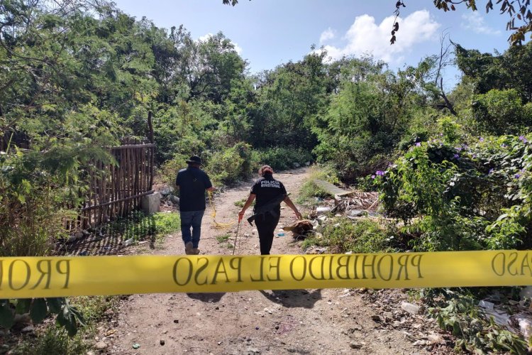 Hallan cadáveres en una fosa en Michoacán