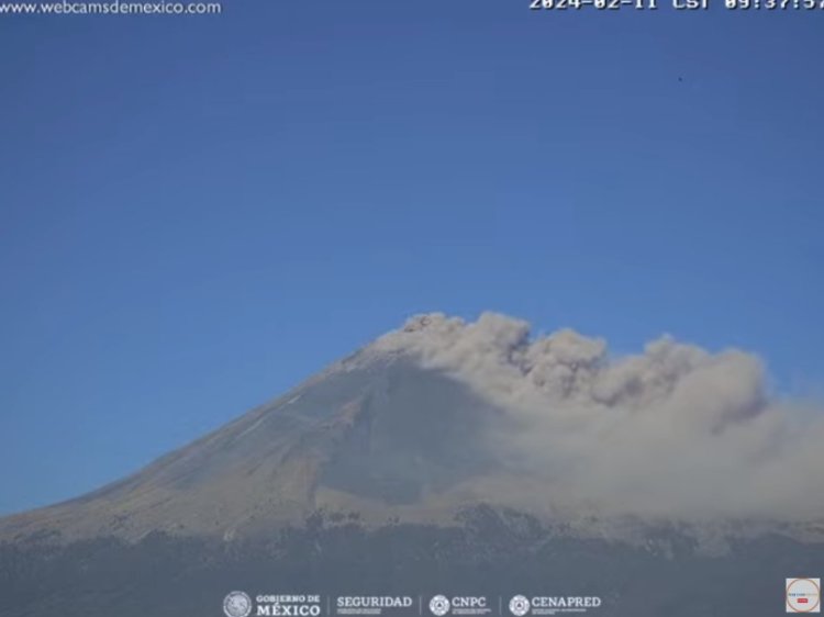 Volcán Popocatépetl registró fumarola que alcanzó los 700 metros