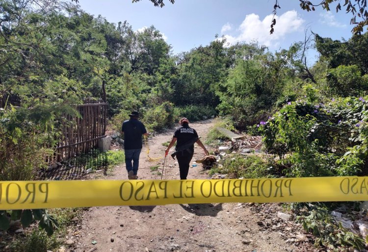 Hallan cadáveres en una fosa en Michoacán