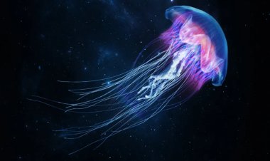 Medusas cyborg serán las próximas exploradoras de océanos en otros planetas