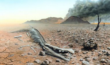 Científicos alertan que ya comenzó la séptima extinción masiva de la Tierra