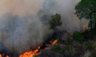 Reportan múltiples incendios en Hidalgo este fin de semana