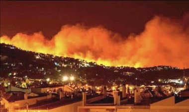 Incendios en la zona central del estado de Veracruz, llevan casi 700 hectáreas consumidas