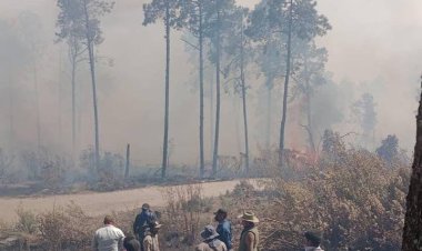 Van cinco muertos en incendios forestales en el Edomex