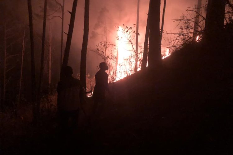 Mueren tres brigadistas durante incendio en el municipio de Donato Guerra, Edomex