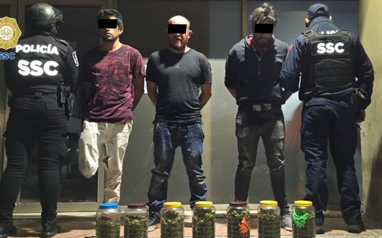 Detienen a narcomenudistas con marihuana en Tepito, CDMX