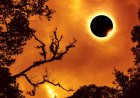 Infografía: ¿Cómo se verá el eclipse en mi ciudad?
