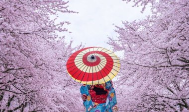 No te pierdas el Festival Japonés de Primavera en la CDMX