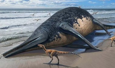 Científicos descubren nueva especie de dinosaurio marino