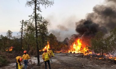 Emergencia en Chihuahua tras incendios que afectan a siete municipios