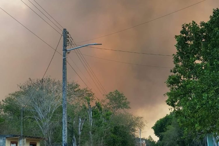 Incendios forestales alcanzan a zonas arqueológicas de Yucatán