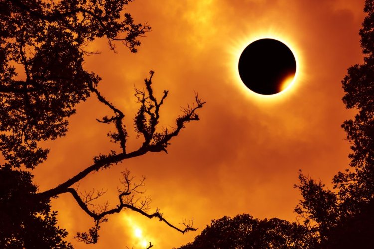 Infografía: ¿Cómo se verá el eclipse en mi ciudad?
