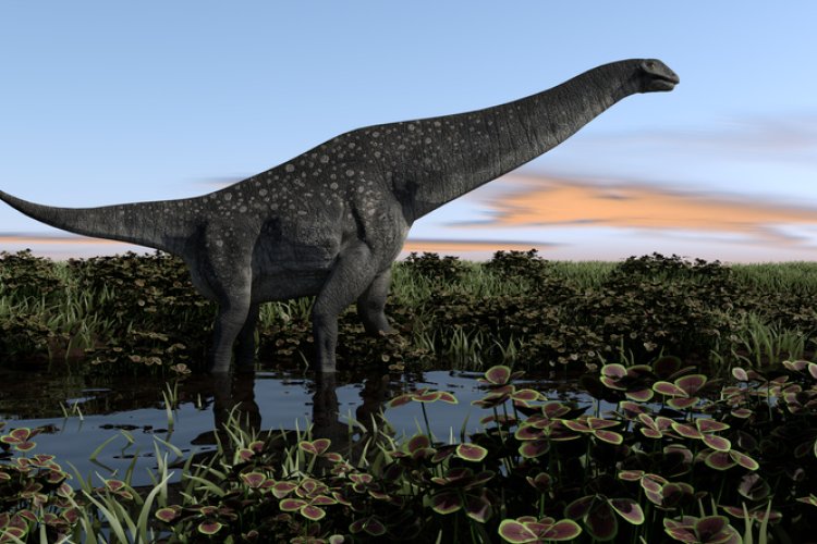 Descubren en Argentina nuevos restos de un Titanosaurio