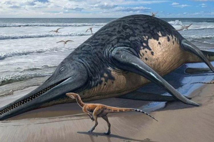 Científicos descubren nueva especie de dinosaurio marino