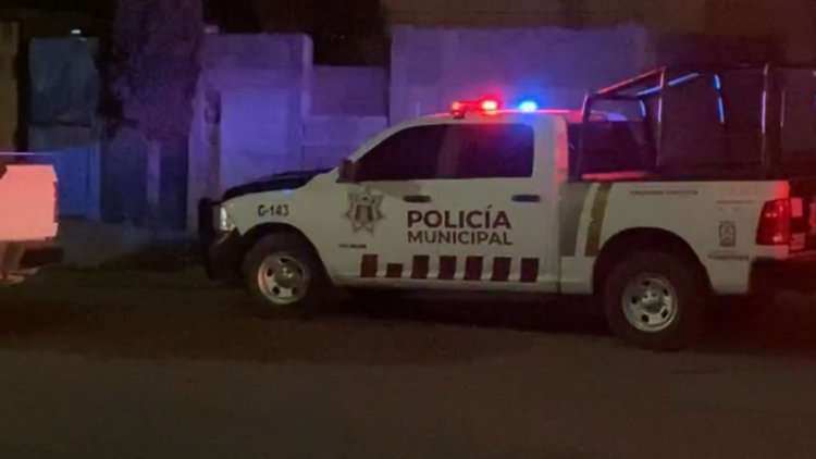 Asesinan a cuatro personas durante pelea clandestina de gallos en Zacatecas