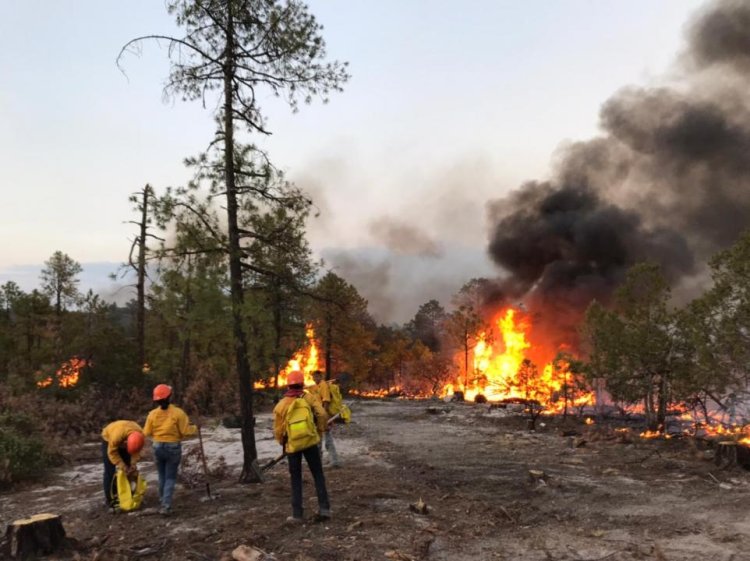 Emergencia en Chihuahua tras incendios que afectan a siete municipios