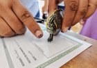 Realizaron registro de mascotas con motivo del Día del Niño en Veracruz