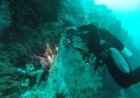 El agujero azul más profundo del mundo se encuentra en México